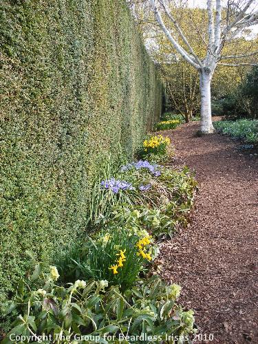 Cambridge Botanic (4)